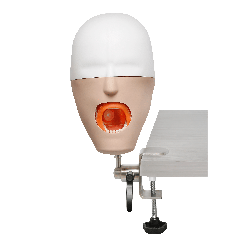 iPhantom Benchmount dental phantom head manikin