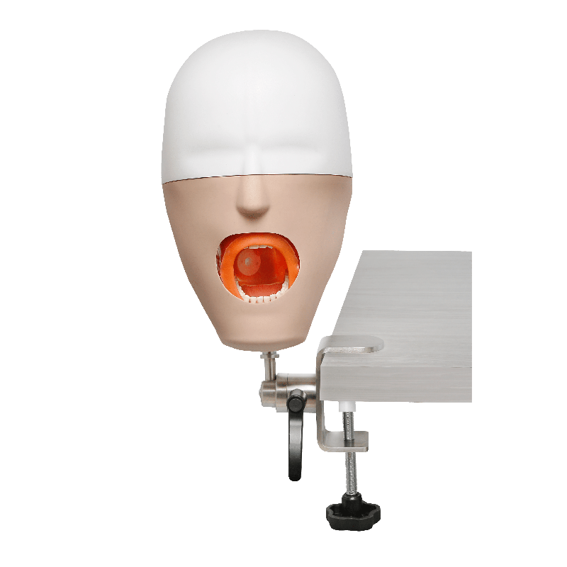 iPhantom Benchmount dental phantom head manikin