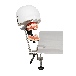 iPhantom Benchmount dental phantom head manikin