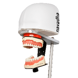 iPhantom Benchmount dental phantom head manikin