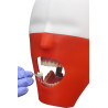 iPhantom Benchmount dental phantom head manikin