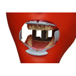 iPhantom Benchmount dental phantom head manikin