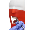 iPhantom Benchmount dental phantom head manikin