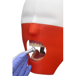 iPhantom Benchmount dental phantom head manikin