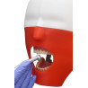 iPhantom Benchmount dental phantom head manikin