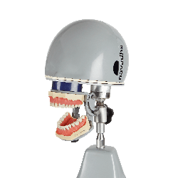 iTorso Dental Chair mount Manikin