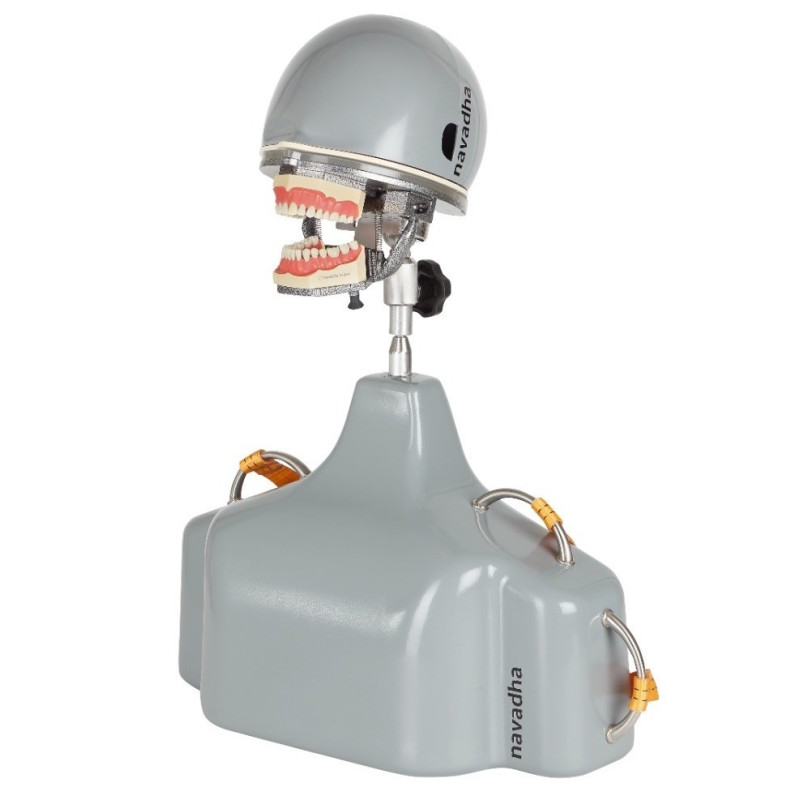 iTorso Dental Phantom Head with Advanced Articulator