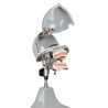 iTorso Dental Phantom Head with Advanced Articulator