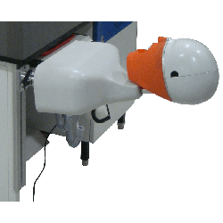 Csim dental phantom head manikin with Rail