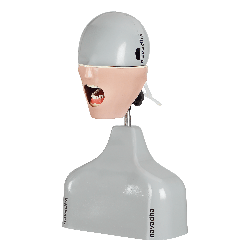 cSim dental phantom head manikin small torso