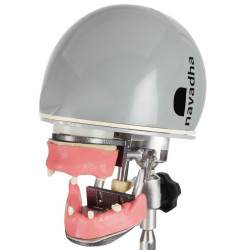 Implant training dental phantom head manikin