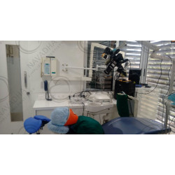 Implant training dental phantom head manikin
