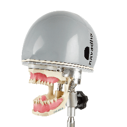 Orthodontic dental phantom head manikin