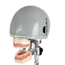Restorative dental phantom head manikin