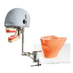 iSim benchmount dental phantom head manikin & With Jaw&With Drainage