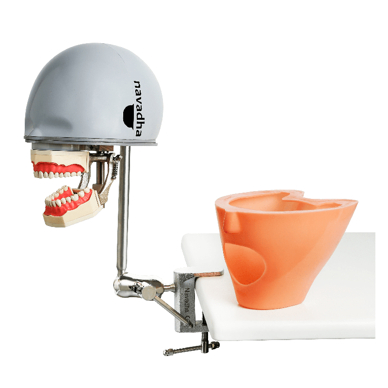 iSim benchmount dental phantom head manikin & With Jaw&With Drainage