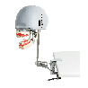 iSim benchmount dental phantom head manikin & With Jaw&With Drainage