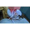 iSim benchmount dental phantom head manikin & With Jaw&With Drainage
