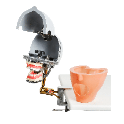 iSim manikin with Advanced articulator & Bench Mount