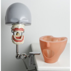 My Phantom - Portable Dental Manikin Case & Table Mount
