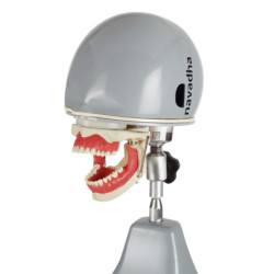 Anaesthesia dental phantom head manikin & Anaesthesia Head with Table mount
