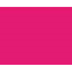 Zirc Steri-Endo Guard Hand & Pink