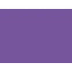 Zirc Steri-Endo Guard Hand & Purple