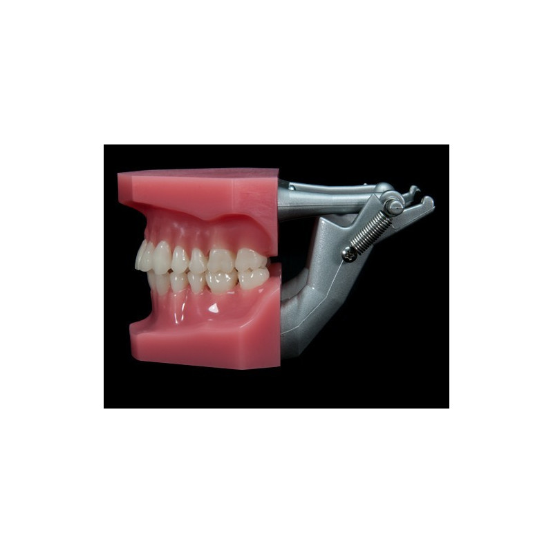 Spring-loaded plastic articulator