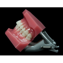 Spring-loaded plastic articulator