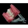 Spring-loaded plastic articulator