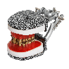 IDRR Orthodontic Training Jaw Model