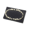 Navadha ZX Dental Typodont Teeth Set