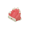 Model for immediate implant placement