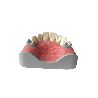 Anterior dentition model for restorations and Core Restorations (Upper)