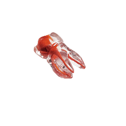 Endo teeth with a colored root canal (Teeth no. 1.6/16/3)