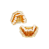 Dental model for teeth extraction