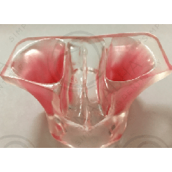 Sinus Lift model - White Resin