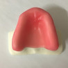 Sinus Lift model - White Resin
