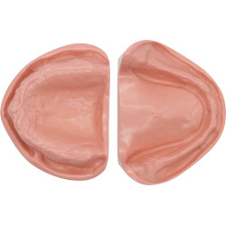 Edentulous Model for Prosthetic Training