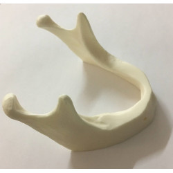 Simple Implant Mandible