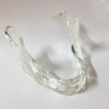 Transparent Implant Mandible