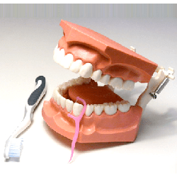 3:1 Hygiene Model