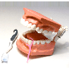 3:1 Hygiene Model