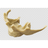 Full-Scale Anatomical Jaw Model with Sinus – Zygomatic Implant Training