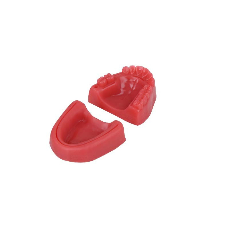 Oral Suturing Training Model | Mandibular Ridge Dental Suturing Simulator – Navadha