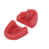 Oral Suturing Training Model | Mandibular Ridge Dental Suturing Simulator – Navadha