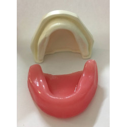 Spongy Bone Implant mandible with gums