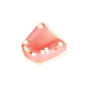 Post Extraction Immediate Implant Model