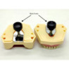 Navadha ZX Dental Typodont Jaw Knobs