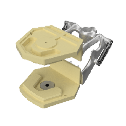 Navadha ZX Typodont Jaw